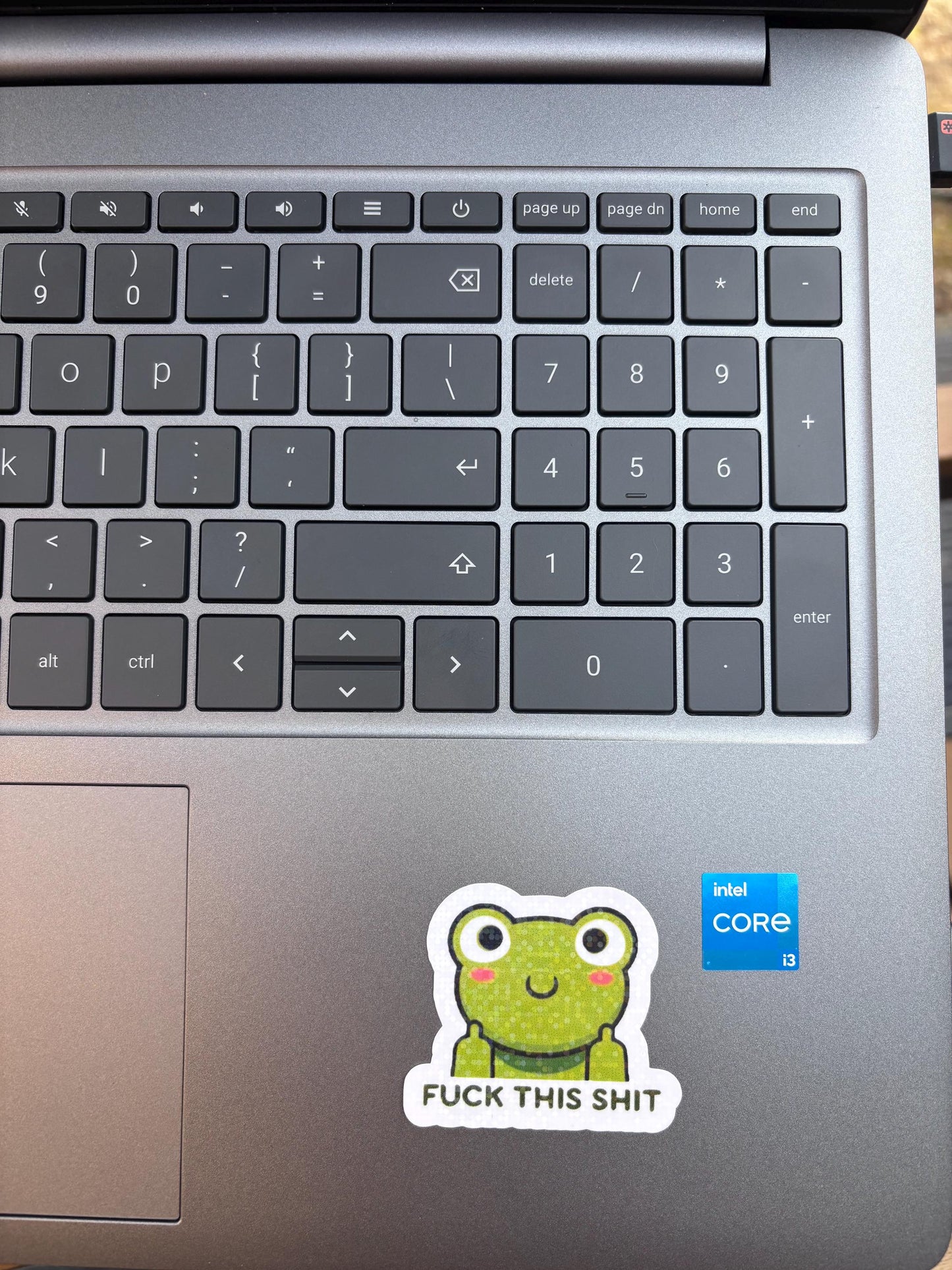 Funny Trendy Frog Sticker, F this sh*t| Sarcastic Meme Sticker | Waterproof Vinyl Holographic |Cute Frog Decal Sticker |Laptop, Water Bottle Sticker.