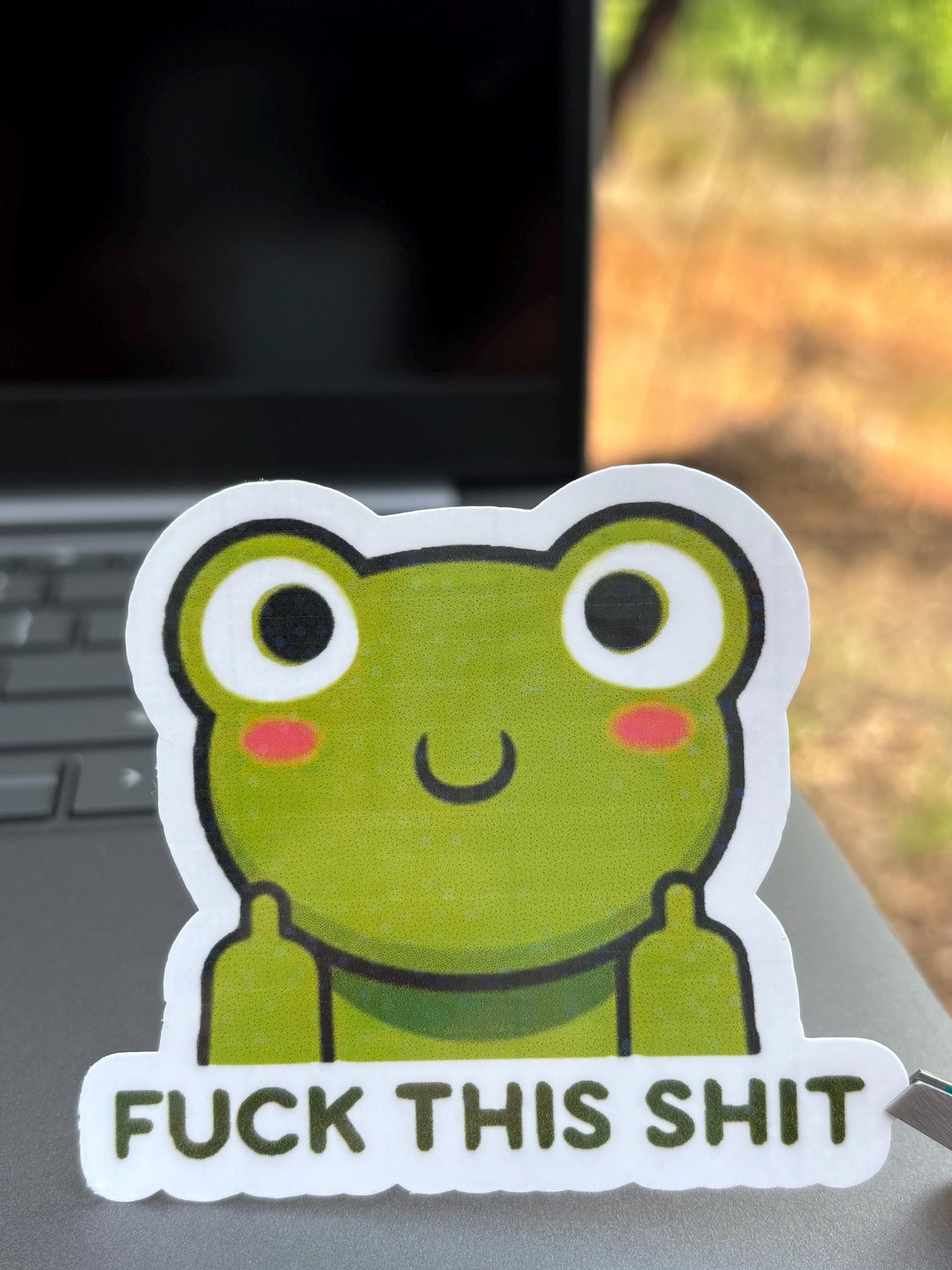 Funny Trendy Frog Sticker, F this sh*t| Sarcastic Meme Sticker | Waterproof Vinyl Holographic |Cute Frog Decal Sticker |Laptop, Water Bottle Sticker.